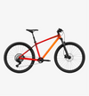 RadTrike