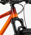 RadTrike