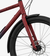 RadTrike