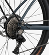 RadTrike