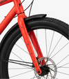 RadRover 6 Plus Step-Thru