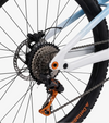 RadTrike